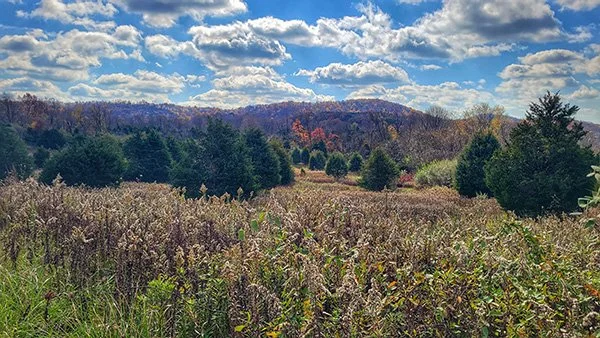 Highlands Nature Sanctuary — Arc of Appalachia